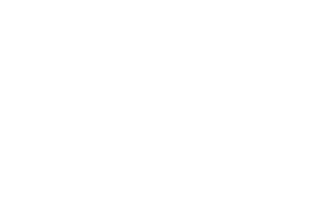 Decorative background wave for the project overview section
